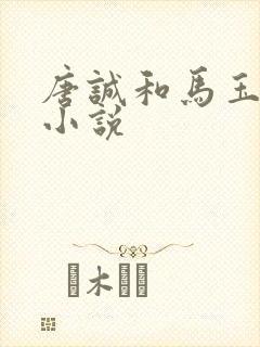 唐诚和马玉婷的小说封面