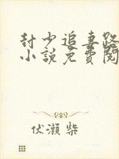 封少追妻路太难小说免费阅读