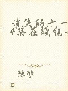 消失的十一层24集在线观看封面