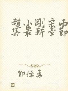 赵小刚宋雨晴全集最新章节作者易看