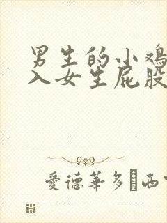 男生的小鸡鸡插入女生屁股里视频