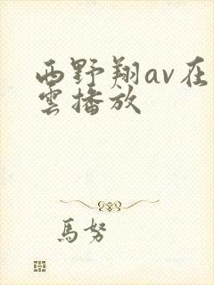 西野翔av在线云播放