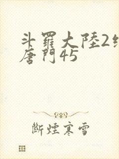 斗罗大陆2绝世唐门45