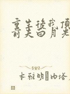 重生后我顶替了前夫白月光九九月著封面