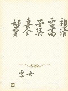 好妻子电视剧免费全集高清在线观看