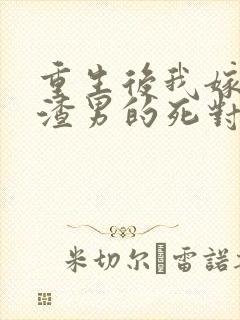 重生后我嫁给了渣男的死对头的作者封面