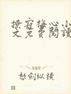 撩宠梅心小说全文免费阅读