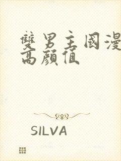 双男主国漫推荐高颜值