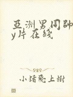 亚洲男同帅gay片在线