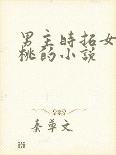 男主时拓女主陶桃的小说