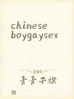 chineseboygaysex封面