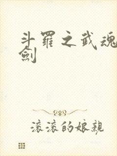 斗罗之武魂玄星剑