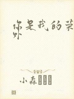 你是我的荣耀番外