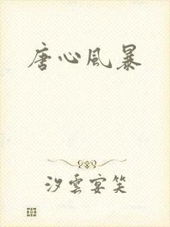 唐心风暴