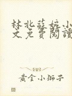 林北苏婉小说全文免费阅读最新杨辰