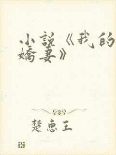 小说《我的倾城娇妻》
