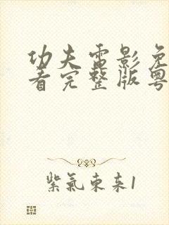 功夫电影免费观看完整版粤语高清