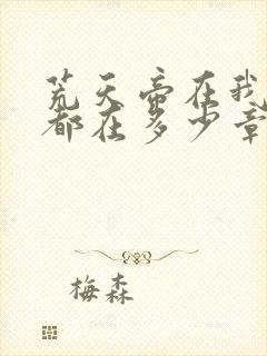 荒天帝在我一直都在多少章