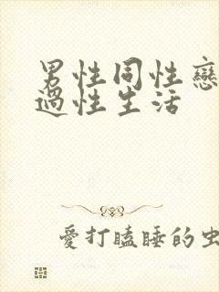 男性同性恋怎么过性生活