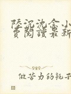 陆沉沈念小说免费阅读最新章节