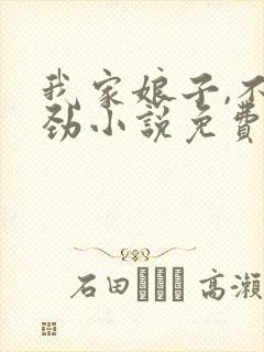 我家娘子,不对劲小说免费下载