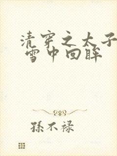 清穿之太子娇妃 雪中回眸