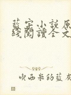 蓝宇小说原著在线阅读全文