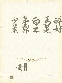 少年白马醉春风叶鼎之是好人吗封面