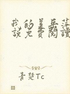 我的美岳萍萍小说免费阅读封面