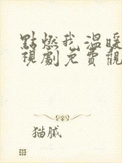 点燃我温暖你电视剧免费观看40集封面