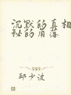 沉默的真相与隐秘的角落