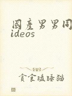 国产男男同志videos