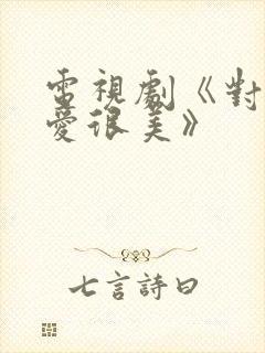 电视剧《对你的爱很美》