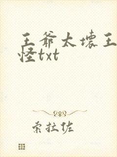王爷太坏王妃太怪txt