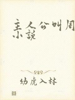 主人公叫周平的小说