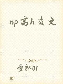 np高h爽文封面