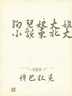 狗儿娘大姐二姐小说东北大炕小说封面