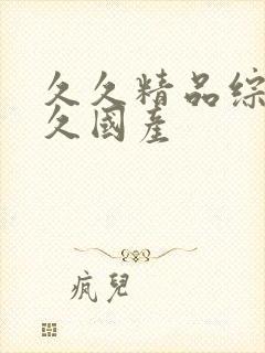 久久精品综合久久国产