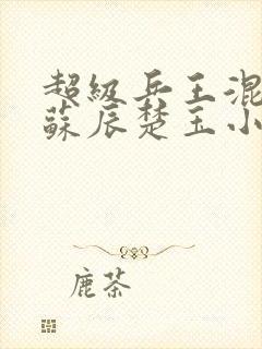 超级兵王混都市苏辰楚玉小说在哪免费下载