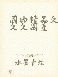 国内精品久久久久久国产