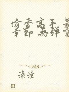 偷香高手 最新章节 无弹窗封面