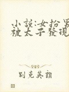 小说:女扮男装被太子发现后