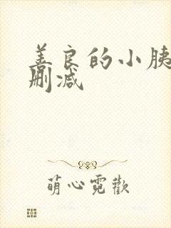 善良的小胰子无删减