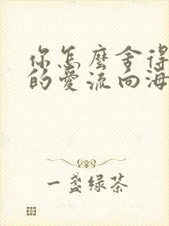 你怎么舍得让我的爱流向海