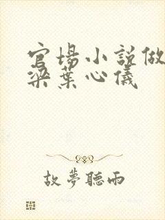 官场小说做局乔梁叶心仪