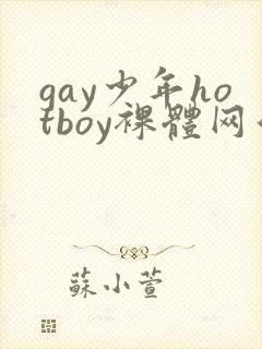 gay少年hotboy裸体网站