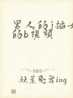 男人的j插女人的b视频封面