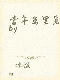 当年万里觅封侯by