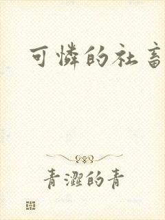 可怜的社畜分手