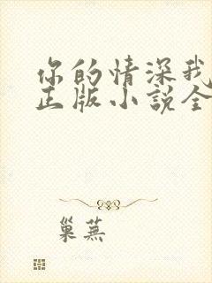 你的情深我不配正版小说全文免费阅读